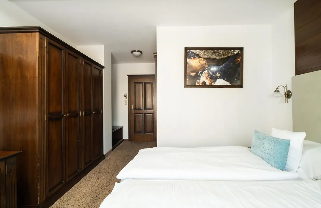 Aplend Wellness Hotel Borovica-1